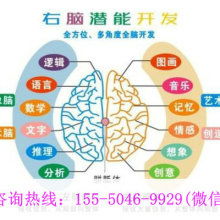 廈門學(xué)之源科技開發(fā)公司 專注早教教材與幼教產(chǎn)品，引領(lǐng)信息技術(shù)咨詢服務(wù)